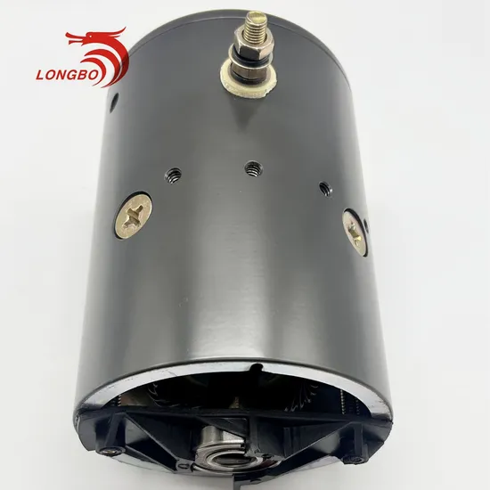 Long Bo Supplier High Rpm Motor Bouble Ball Bearing 12V DC Motor for Lifts 