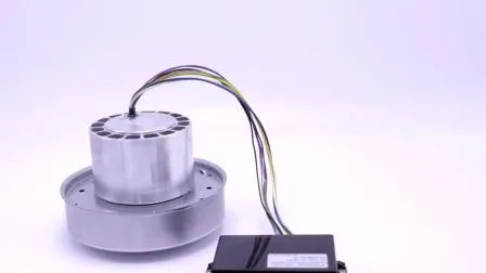 Air Pump DC Brushless Motor for Fan Blower Fan 
